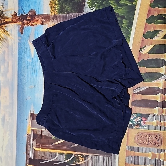 Lululemon Bluish Purple Shorts Size 6 - Picture 1 of 4